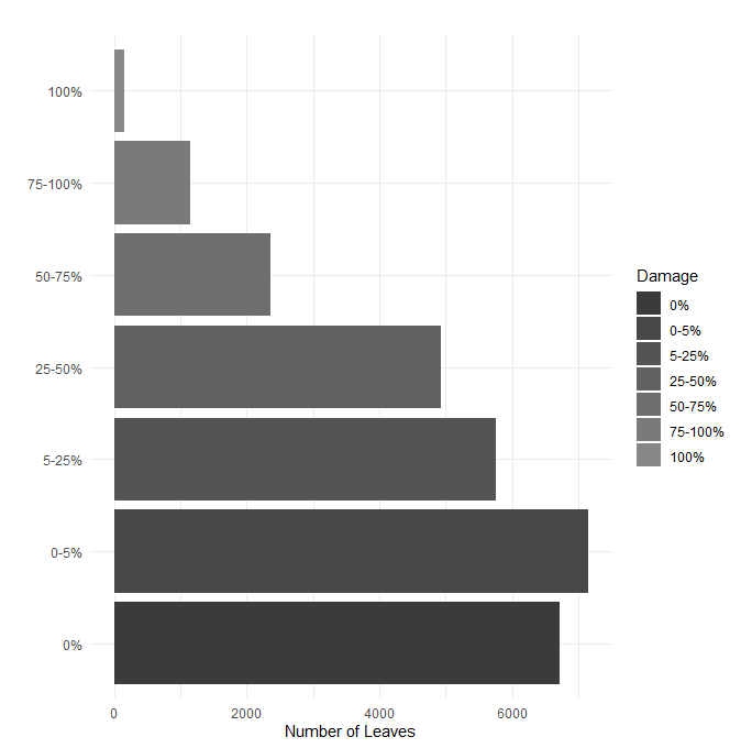 Fig. 6. Leaf-level herbivory.  All leaves surveyed for herbivory by damage bin. Percent area loss to herbivory is shown increasing moving upwards along the y-axis.