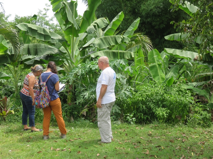 Fig. 1. Residents that live around the Río Hondo Community Forest showing their backyard plants to me and my research assistant. At times they would explain where they got their plants from and why they planted them.