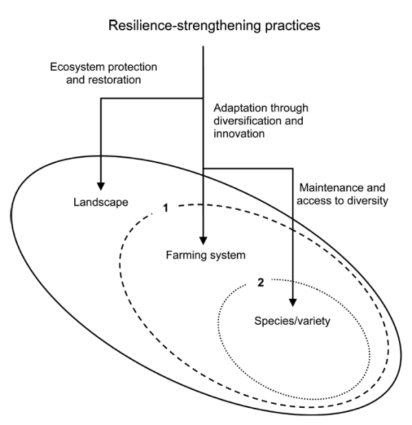 Fig. 1. Linkages for building resilience across scales. From Mijatovic et al. (2013).