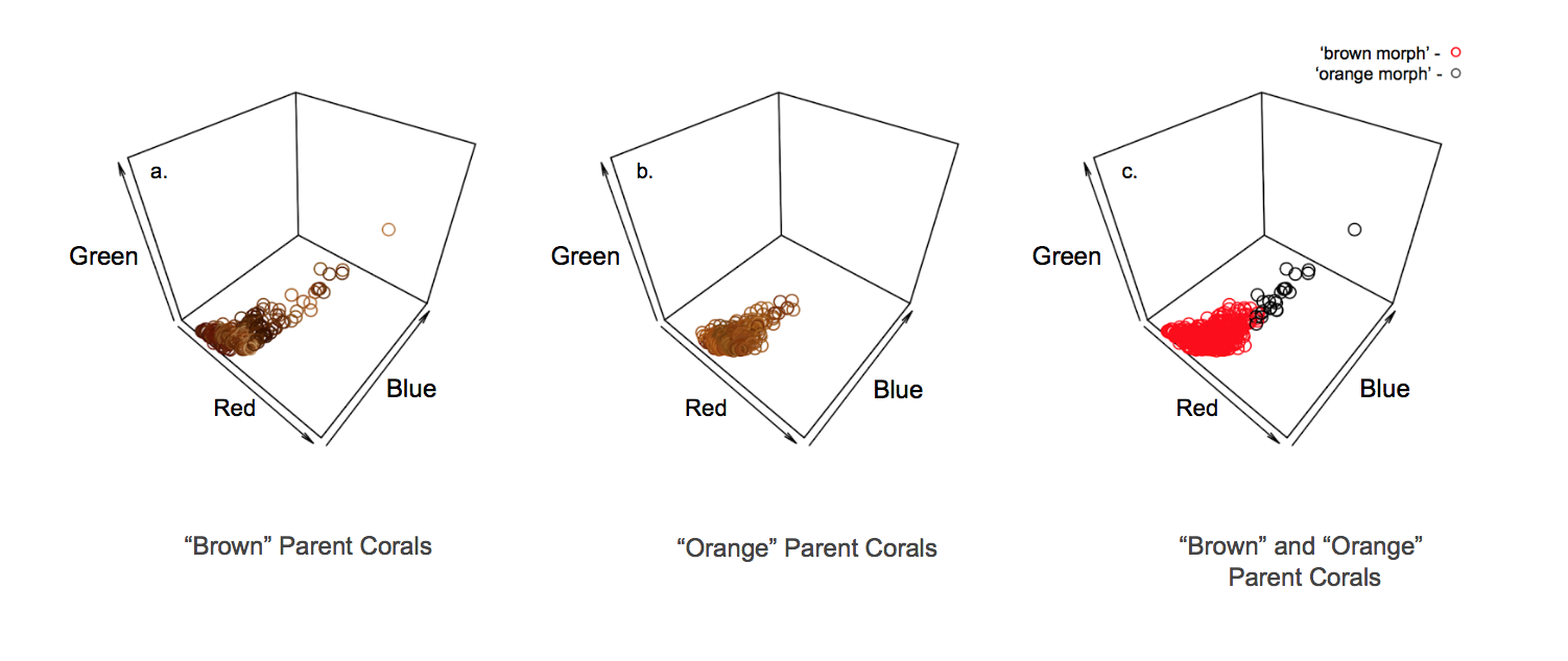 Figure 1. Parent coral color in 3D RGB space. (a). The distribution in 3D RGB color space of ‘brown’ parent corals (n = 240) at time point = 0. Points are the color of the data they represent and lie in that RGB space. (b). The distribution in 3D RGB color space of ‘orange’ parent corals (n = 240) at time point = 0. Again, points are the color of the data they represent and lie in that RGB space. (c). The distribution in 3D RGB color space of ‘brown’ and ‘orange’ parent corals (n = 240) at time point = 0 represented by red and black points respectively.