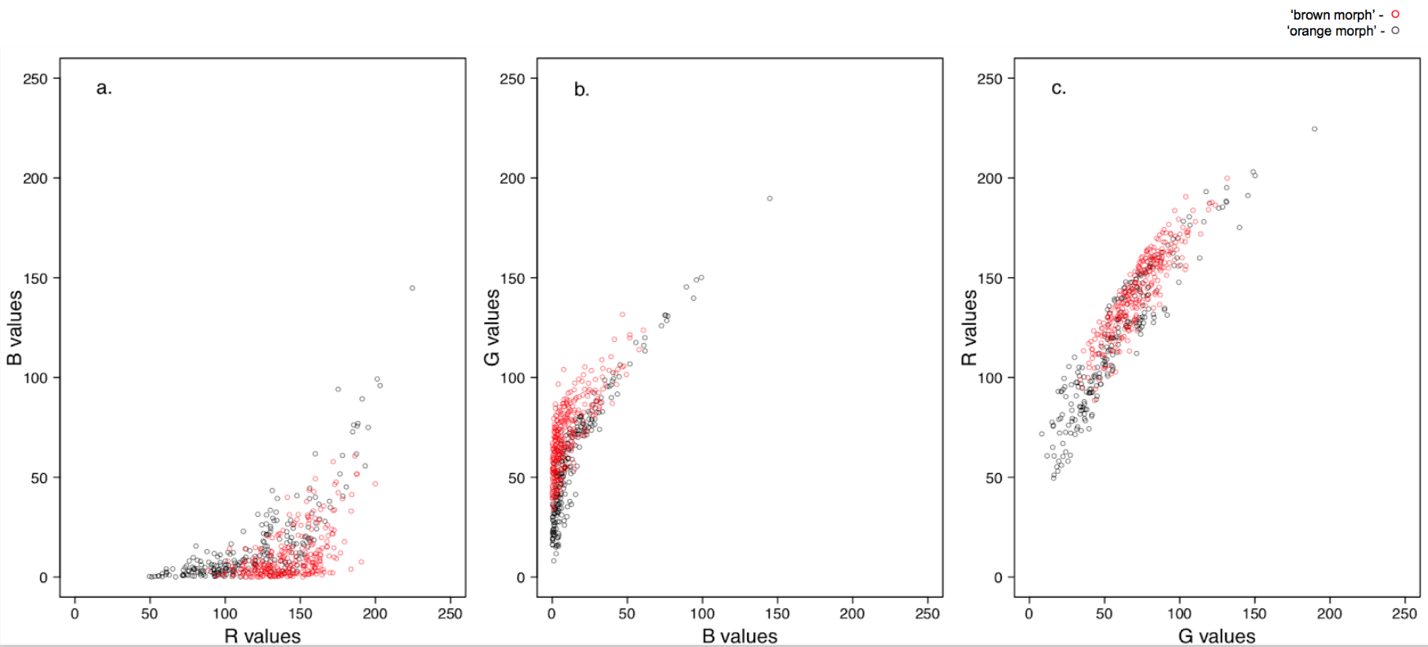 Figure 2. Parent coral color in 2D space. The distribution in 2D color space of ‘brown’ (n = 28) and ‘orange’ (n = 24) parent corals at time point = 0, represented by red and black points respectively.