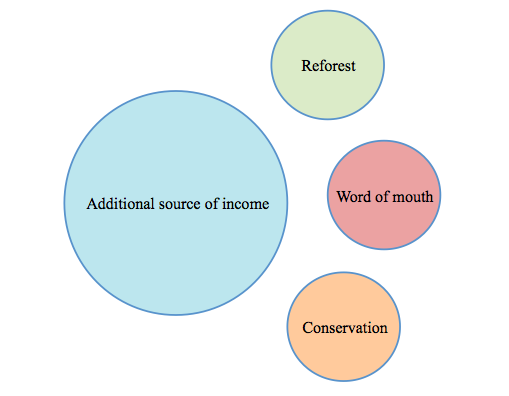 Fig. 2. Motivations for participating in the Achiote Project.