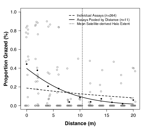 Fig. 3. Changes in grazing pressure with distance from patch reef refuges in the South Water Caye Marine Reserve in Belize. Grazing is represented as the proportional area of seagrass blades consumed during a 24-hour deployment. Pooled data represent the proportion grazed across all transects and patch reefs. Data was modeled using beta regression and all models were significant (p &lt; 0.01). The mean satellite derived halo-extent was the averaged estimate of grazing halo width (m) at 7 of 8 patch reefs. One was excluded because the halo was not discernable.