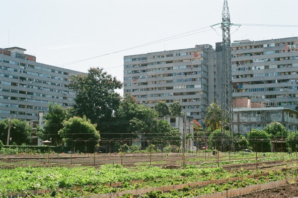 Fig. 4. Housing at La Sazon, Havana, Cuba.