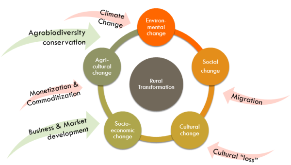 Fig. 4. Model of rural transformation in the Cordillera Rice Terraces SES. Rural transformation does not occur in a unilinear direction. Transformation consists of multiple inter-connected and inter-dependent developments—such as environmental, social, cultural, agricultural, and socio-economic developments—the interplay of which shape the trajectory of transformation in rural societies. Upon these developments forces and processes creating internal and external pressure (Red Arrows) guide transformation. Interventions such as the HRP attempt to intervene on rural transformation by introducing additional forces and pressures (Green Arrows) to guide transformation, attempting to serve as countervailing forces to existing pressures.