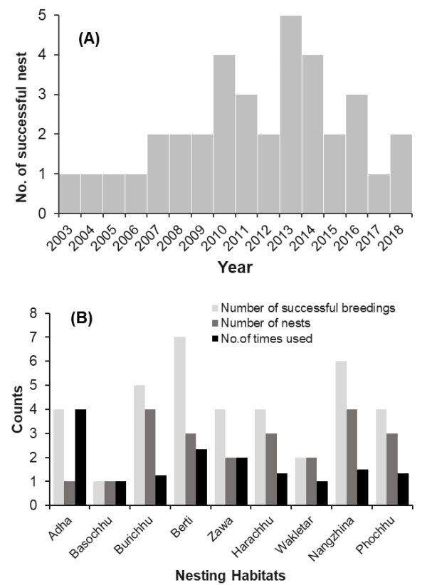 Fig. 5. (A) The number of successful White-bellied Heron nest and the trend for the last 16 years in Bhutan (B) Total number of successful breeding, number of nests and number of nests reuse in nine nesting habitats in Bhutan.