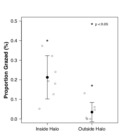 Fig. 6. Differences in the proportion of grazed blade area inside and outside of the satellite-derived measure of grazing halo extent. Grazing was significantly higher within the boundary of each patch’s respective halo (paired Wilcoxon signed-rank test, W = 28, p = 0.02). Ninety-five percent of the grazing that did occur happened within the halo boundary as predicted from satellite imagery.