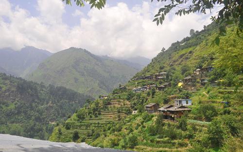 Himalaya Summer, India