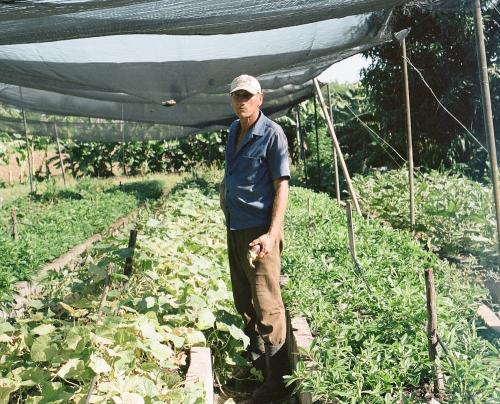 Cuban farmer