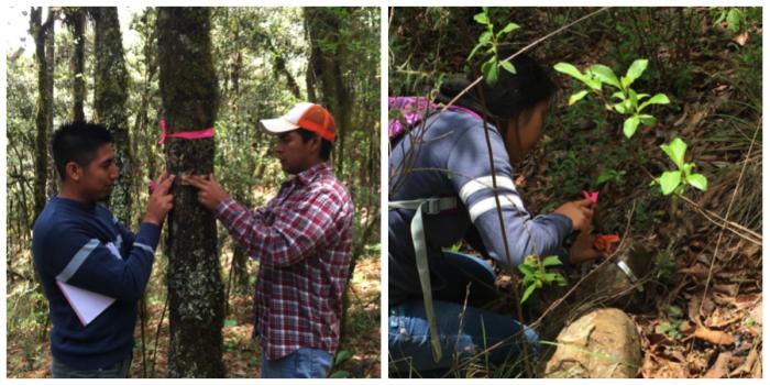 students taking measurements