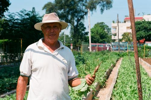 farmer