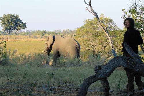 sam with elephant